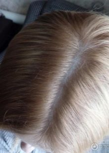 Фарба для волосся Studio (29 фото): палітра кольорів фарб Essem Hair і Professional, інструкція по застосуванню професійних фарб, відгуки farba dlya volossya studio 29 foto pal tra kol or v farb essem hair professional nstrukc ya po zastosuvannyu profes ynih farb v dguki 6 - Фарба для волосся Studio (29 фото): палітра кольорів фарб Essem Hair і Professional, інструкція по застосуванню професійних фарб, відгуки