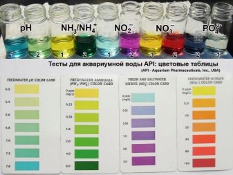 Нітрати в акваріумі (13 фото): норма NO3 і нітритів. Як знизити або підвищити їх зміст? Співвідношення з фосфатами n trati v akvar um 13 foto norma no3 n trit v yak zniziti abo p dvischiti h zm st sp vv dnoshennya z fosfatami 5 - Нітрати в акваріумі (13 фото): норма NO3 і нітритів. Як знизити або підвищити їх зміст? Співвідношення з фосфатами
