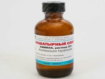 Як почистити диван від засмальцьованості в домашніх умовах? Чим відмити диван з тканини від бруду й старої затертости? Як очистити від засалених плям? yak pochistiti divan v d zasmal c ovanost v domashn h umovah chim v dmiti divan z tkanini v d brudu y staro zatertosti yak ochistiti v d zasalenih plyam 17 - Як почистити диван від засмальцьованості в домашніх умовах? Чим відмити диван з тканини від бруду й старої затертости? Як очистити від засалених плям?